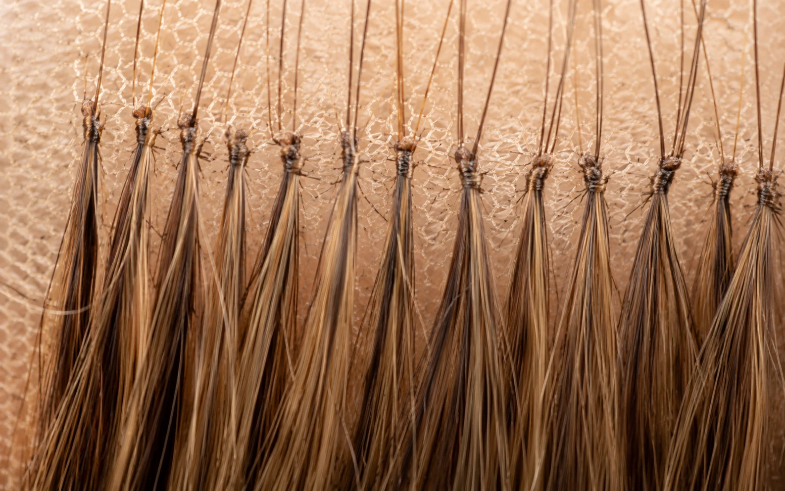 Microscope close-up comparison of single knot vs double knot ventilation on Swiss lace wig base